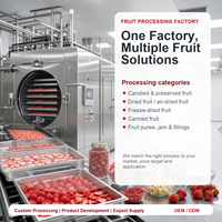 Fraises entières lyophilisées conformes aux normes européennes, sans pesticides, 100 % naturelles, tranches de fraises FD, vente en gros, en vrac, collation de fruits saine