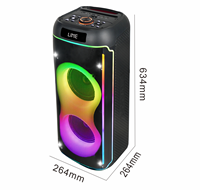 Vente chaude Super Bass 6.5 pouces Subwoofer Haut-parleur 40W Haut-parleur karaoké avec micro Haut-parleur personnalisé Système de karaoké Son