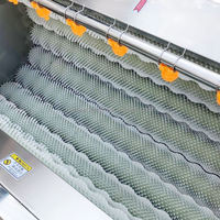 Automatische fruit- en groenteschilmachine, cassave- en aardappelborstelreinigings- en wasmachine, rechtstreeks van de fabriek