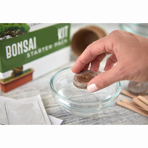 <span class=keywords><strong>Kit</strong></span> de bonsái para principiantes con herramientas simples y completas - Product Image 4