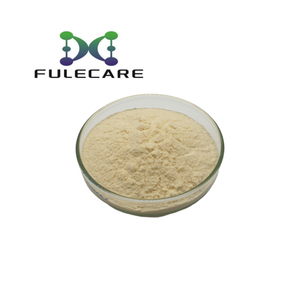 Высокое качество дуриан фруктовый сок порошок экстракт дуриана порошок напиток порошок - Product Image 2