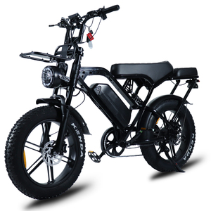 Vélo électrique X80Pro 20 pouces Fatbike X80 Pro, moteur puissant 250W, vélo électrique confortable à conduire, prix compétitif. - Product Image 2