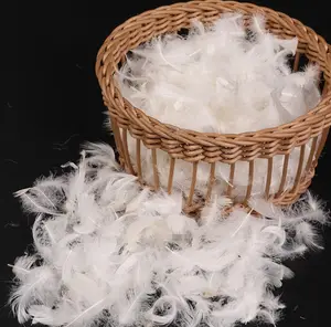 Daunen feder Hersteller gewaschenes weißes Enten feder Sofa Kissen Füllmaterial