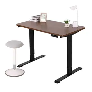 Ergonomic Office Electric Computer Gaming Desk Sit to Stand Standing Adjustable Height Table