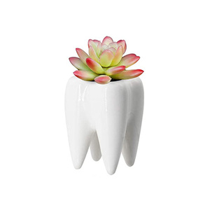 Dropshipping Modern Style Teeth Pots Ceramic Flower Pot White Succulent Cactus Bonsai Planter Container