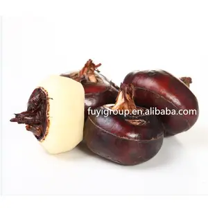 Hight quality fresh bulk water chestnut