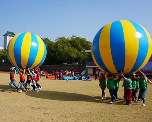Pelota de <span class=keywords><strong>playa</strong></span> gigante inflable personalizada para deportes al aire libre, pelota inflable <span class=keywords><strong>grande</strong></span> de lona de PVC - Product Image 5