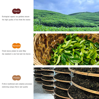 Thé de la roche de Wuyi Zheng Yan Rougui 2026, nouvelles feuilles de thé, arôme intense, Da Hong Pao, thé Oolong en vrac