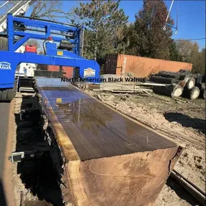 Sedia da Pranzo Dingshuai in Legno Massello di Noce Nero Nordamericano, Stile Nordico Moderno <span class=keywords><strong>con</strong></span> Schienale, Arredamento per Sala da Pranzo dalla Cina - Product Image 5