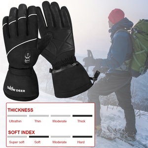 Guantes Calefactables para Esquí, Guantes de Invierno Recargables, Impermeables y Resistentes al Viento con Calefacción por Batería para Snowboard y Senderismo - Product Image 2