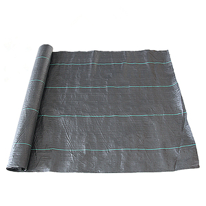 Tissu répulsif en gros de haute qualité <span class=keywords><strong>sol</strong></span> EGP pp couverture tissu tapis de mauvaises herbes herbe - Product Image 2