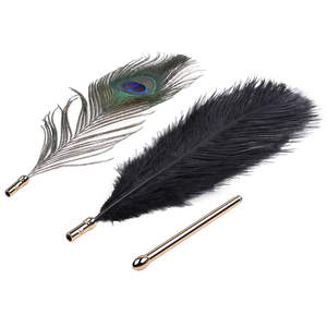 Plumas de Sevanda Meng <span class=keywords><strong>Ling</strong></span>. - Product Image 6
