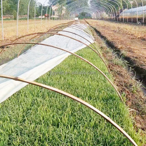 Tissu anti-mauvaises herbes non tissé - Couverture de sol perméable pour supprimer les mauvaises herbes dans le jardin et la ferme - Product Image 2