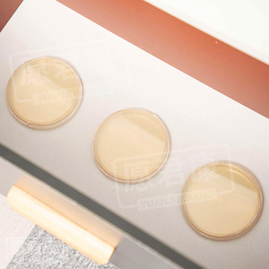 Placas de Petri Sunshine Biology de 90 mm con Agar Sabouraud para la Detección de Bacterias y Microbios - Product Image 2