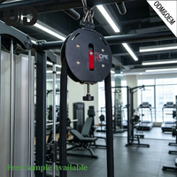 Udine Endless Rope Trainer : Machine de traction à résistance magnétique robuste pour entraînement fonctionnel, marque privée