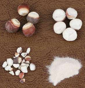 זרעי גורגון מיובשים בעלי תזונה גבוהה, אורייל פרוקס טבעי, תמיכה בחסינות לתה - Product Image 5