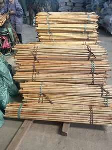 Poste <span class=keywords><strong>de</strong></span> <span class=keywords><strong>madera</strong></span>, palo <span class=keywords><strong>de</strong></span> estaca <span class=keywords><strong>de</strong></span> caña, caña <span class=keywords><strong>de</strong></span> pescar, mango <span class=keywords><strong>de</strong></span> <span class=keywords><strong>madera</strong></span> barnizado <span class=keywords><strong>para</strong></span> <span class=keywords><strong>escoba</strong></span> y fregona, palo <span class=keywords><strong>de</strong></span> <span class=keywords><strong>escoba</strong></span> <span class=keywords><strong>de</strong></span> <span class=keywords><strong>madera</strong></span>, <span class=keywords><strong>escoba</strong></span> <span class=keywords><strong>de</strong></span> uso doméstico - Product Image 2