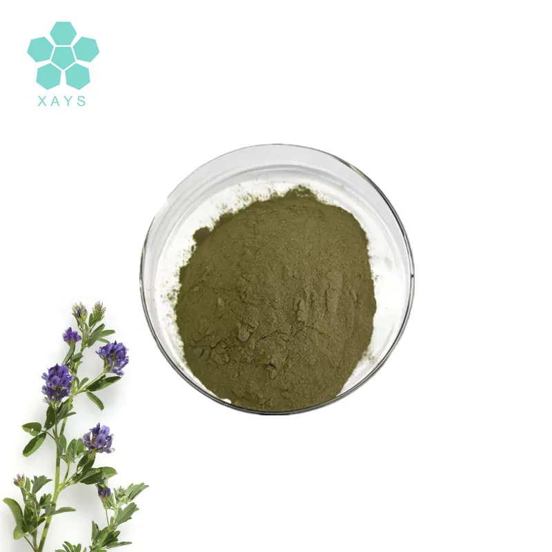 Red Clover 40% Isoflavones cỏ ba lá đỏ chiết xuất bột