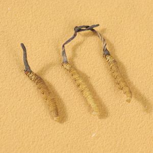 Melhor Preço Qualidade Natural <span class=keywords><strong>cordyceps</strong></span> militaris Bulk Oragnic Cru congelado seco tiens <span class=keywords><strong>Cordyceps</strong></span> <span class=keywords><strong>sinensis</strong></span> - Product Image 5