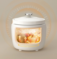 Multicuiseur 500W 3L avec cuve en céramique, cuiseur à riz électrique pour la cuisson du riz à domicile