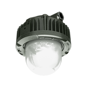 ไฟส่องสว่างสำหรับพื้นที่อันตราย ATEX 10w 20w 30w 40w โซน 1 โซน 2 คลาส 1 2  แบบติดตั้งบนแท่น  IP66  แบบแขวน  LED  ป้องกันการระเบิด - Product Image 2