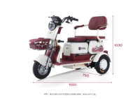Tricycle électrique à 3 roues, scooter de mobilité avec siège enfant pliable et boîte de rangement, absorption des chocs, meilleur auto-rickshaw électrique