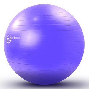 Pelota de yoga clásica meridiana de fábrica Zhengsheng que sus clientes querrán tener - Product Image 5