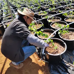 Fabrika toptan tarım sulama hortumu pe su hortumu tarım sulama hortumu