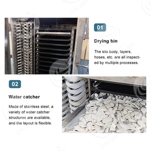 ORME commerciale latte liofilizzatore 60kg tassidermia liofilizzatore botanico macchina per liofilizzazione del seno - Product Image 4