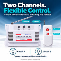 Sakelar Kontrol Jarak Jauh RF Nirkabel 2 Saluran AC 75-400V 315MHz dengan Remote A/B untuk Kontrol Pencahayaan dan Peralatan