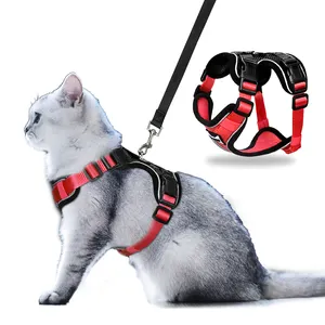 2 Colors Adjustable Walking Lead Leash Polyester Mesh Cat Harness Vest And Leash Set