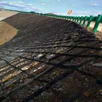 100mm 150mm 200mm plástico perforado texturizado HDPE panal Geomallas pavimentadora plástico camino pavimentado rejilla Geocell Web System