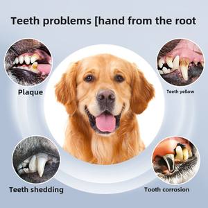 Qio 모던 친환경 ABS 플라스틱 반려동물 치아 청소 용품 배터리 구동 초음파 치석 제거기 - Product Image 3