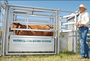 Panneaux <span class=keywords><strong>de</strong></span> porte pour animaux <span class=keywords><strong>de</strong></span> compagnie, vente en gros, entièrement automatique, à usage robuste, avec pesée - Product Image 3