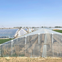 Film PE pour serre résistant aux UV 200 microns, rouleau de bâche en polyéthylène agricole, couverture de tunnel, vente en gros pour fermes et pépinières