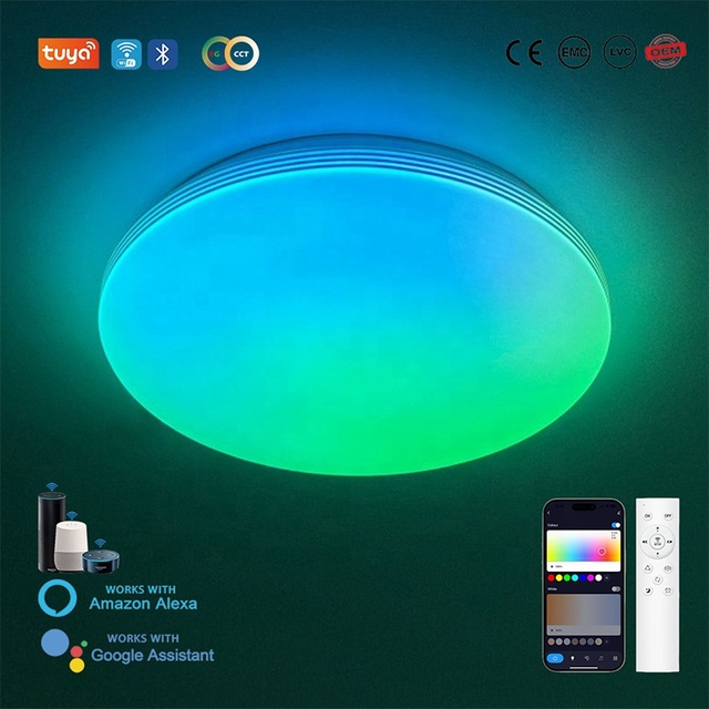 TUYA App Control Smart LED Ceiling Lights Voice Control WiFi Remote 48W Dimmable RGB Eco-Friendly Home Lighting