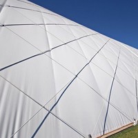 Membrana Arquitectónica de PVC Moderna, Resistente a la Intemperie, Impermeable y Retardante de Llama para Almacenamiento Industrial, Edificios Inflables y Fábricas