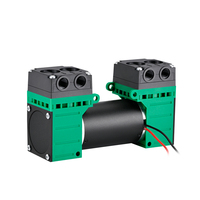 Pompa Udara Mini Diafragma Ganda 12V 24V Kustom Portabel untuk Industri Otomotif, Tahan Korosi, Senyap, Tanpa Oli, Efisiensi Tinggi