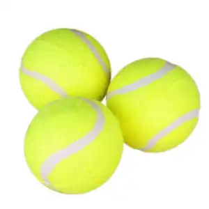 2024 नई बहु आकार रंगीन पालतू प्रशिक्षण बॉल्स शुरुआती चबाने वाली बाउंसी बॉल्स डॉग च्यू टॉय बॉल