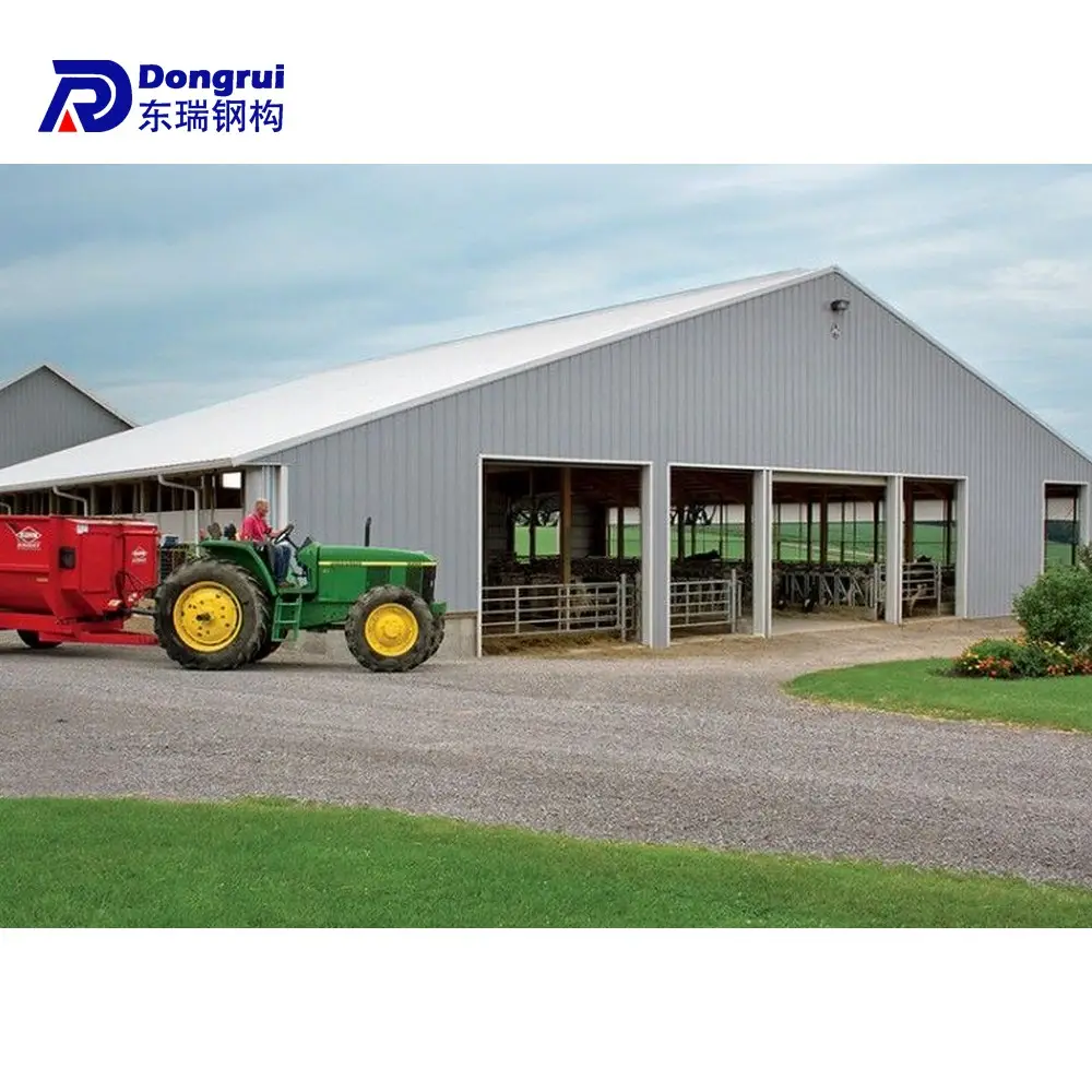 Open poultry farm house steel structure dairy farming house construction