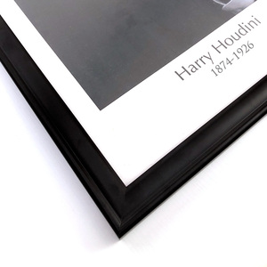 Phantom von Harry Houdini von Adam <span class=keywords><strong>Woog</strong></span> - Zaubertricks das Houdini-Porträt präsentiert die Prophezeiung des Publikums Phantom-Porträt-Illusion - Product Image 3