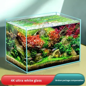 Shandong Aquarium Ecologisch Desktop Ultra-Helder Klein Aquarium Bakje Waterplanten Sierlijke Vissen Schildpad Glas - Product Image 2