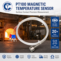 Pt100 Platin-Widerstandssensor, Magnetisch Montierter Temperaturfühler, Starker Magnetkopf für Industrielle Anwendungen