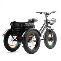 Triciclo elettrico bici da carico elettrica, triciclo elettrico 750W auto per il tempo libero, tricicli elettrici per carico triciclo per adulti