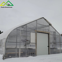 Serre agricole intelligente à structure galvanisée à travée unique, tunnel de serre pour fraises et plantes tropicales à vendre