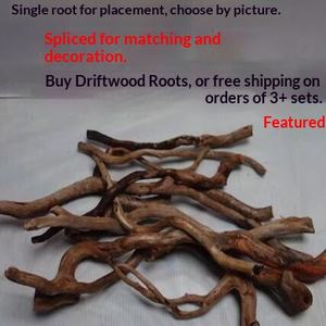 Décor aquatique : Racine de rhododendron, bois flotté, tronc d'arbre pour <span class=keywords><strong>aquarium</strong></span> rainforest, racine unique détachée - Product Image 2
