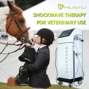 Macchina per terapia focalizzata portatile a doppia modalità per ED e sollievo dal dolore-certificata per uso veterinario T210 - Product Image 3