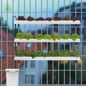 Skyplant Wandmontage Voor Appartement Home Hydrocultuur Groeien Systeem