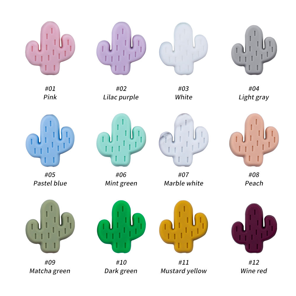 SA79ลูกปัดกระบองเพชร