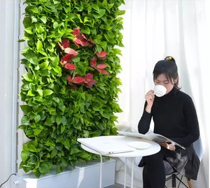 Fioriera Verticale da Interno Impermeabile per Parete Verde - Product Image 2